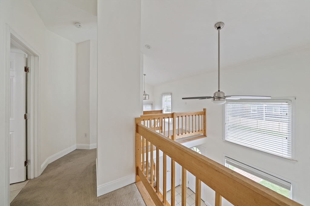 71 Webster Avenue