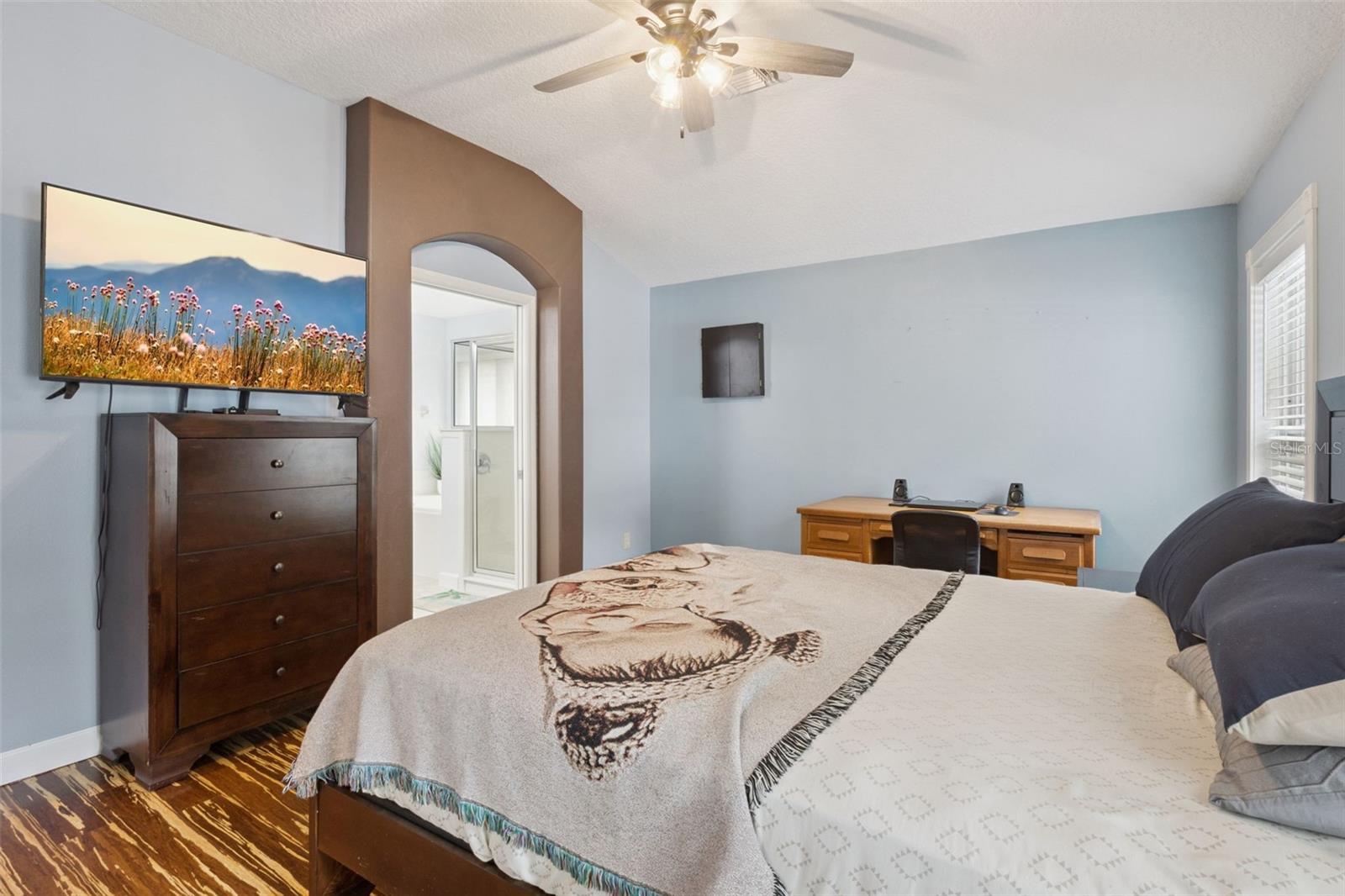 28027 CYPRESS SPRINGS LOOP