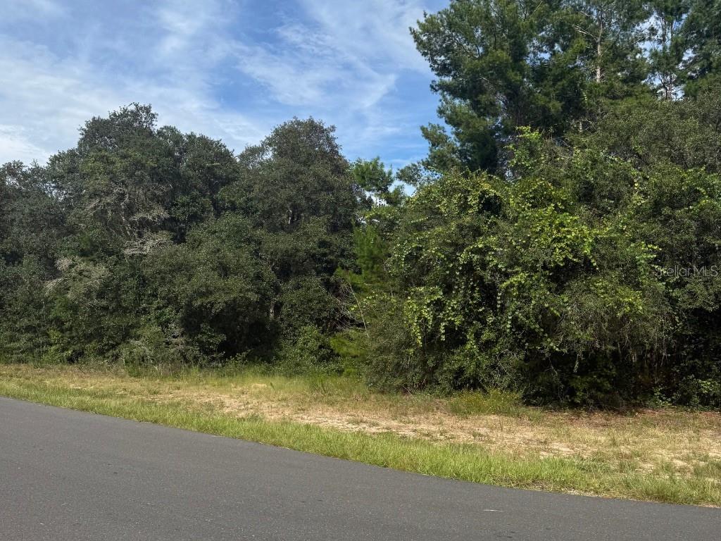 Wooded vacant lot bordered by a paved road, with dense trees and brush.