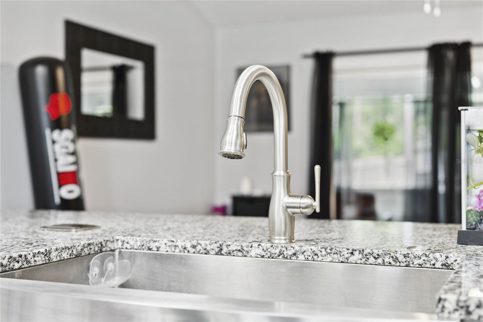 10412 REGAL VIEW LOOP