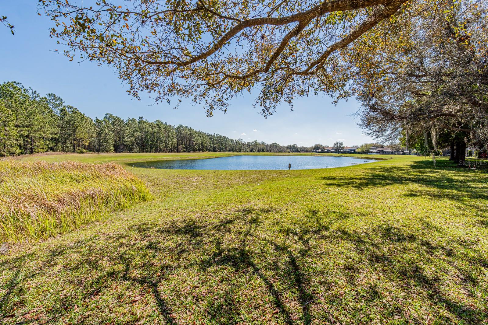 16805 SUNRISE VISTA DR