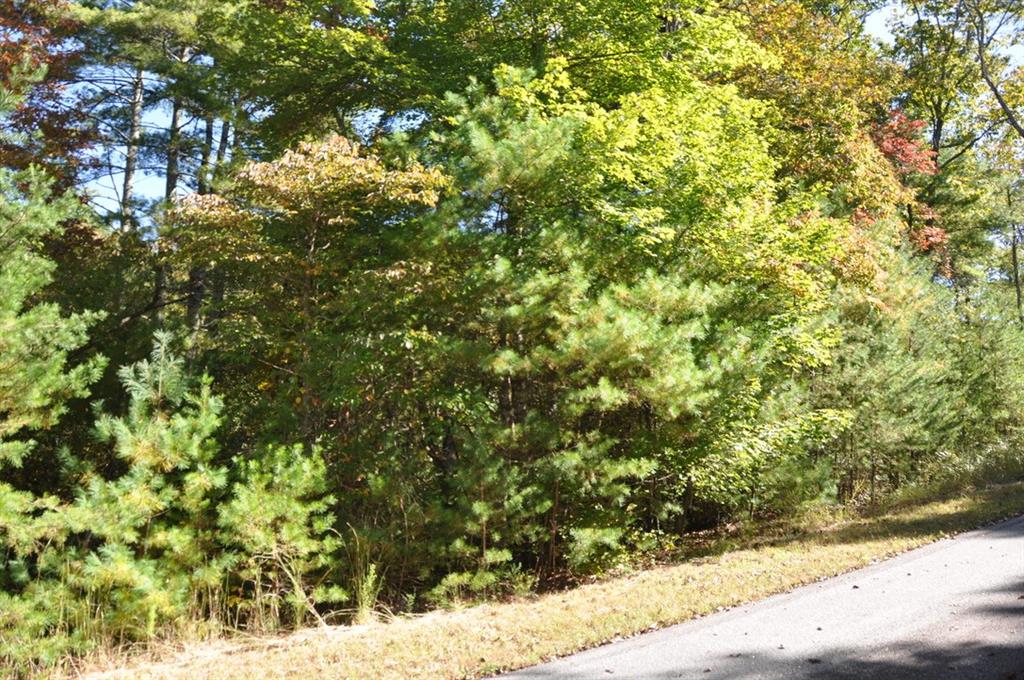 3461 Wild Pansy Ridge
