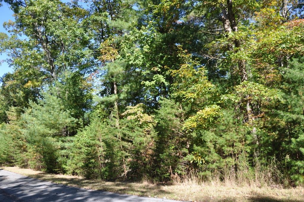 3461 Wild Pansy Ridge