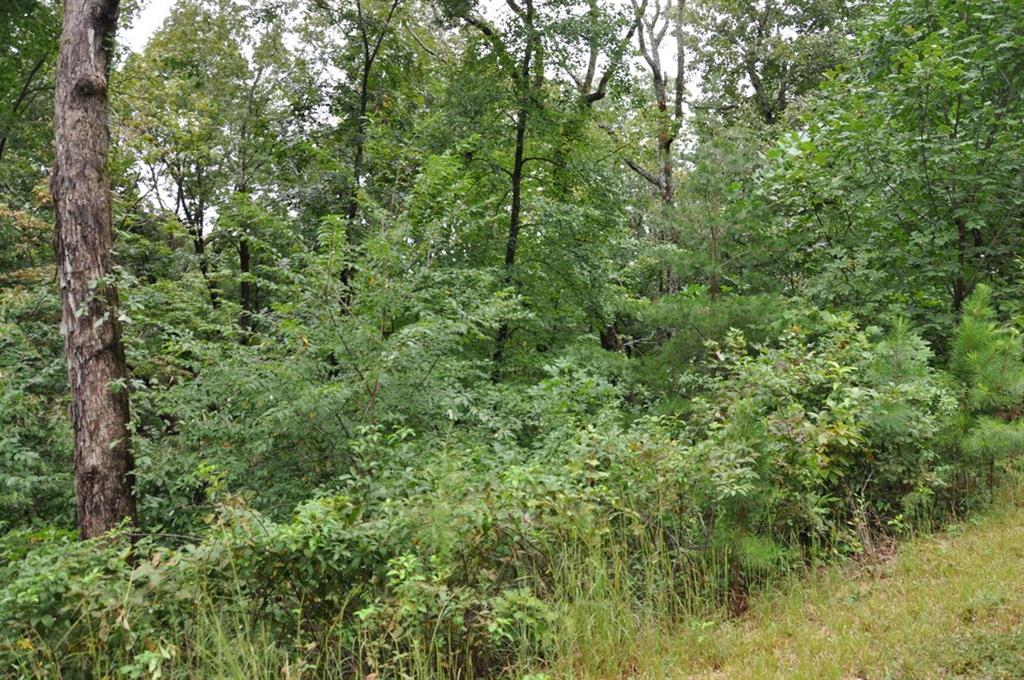 3461 Wild Pansy Ridge