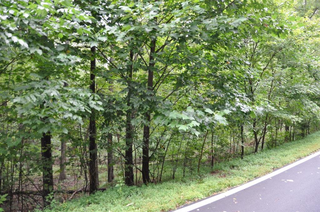 3461 Wild Pansy Ridge