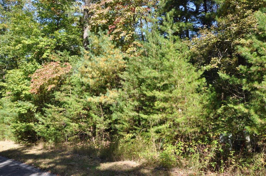 3461 Wild Pansy Ridge