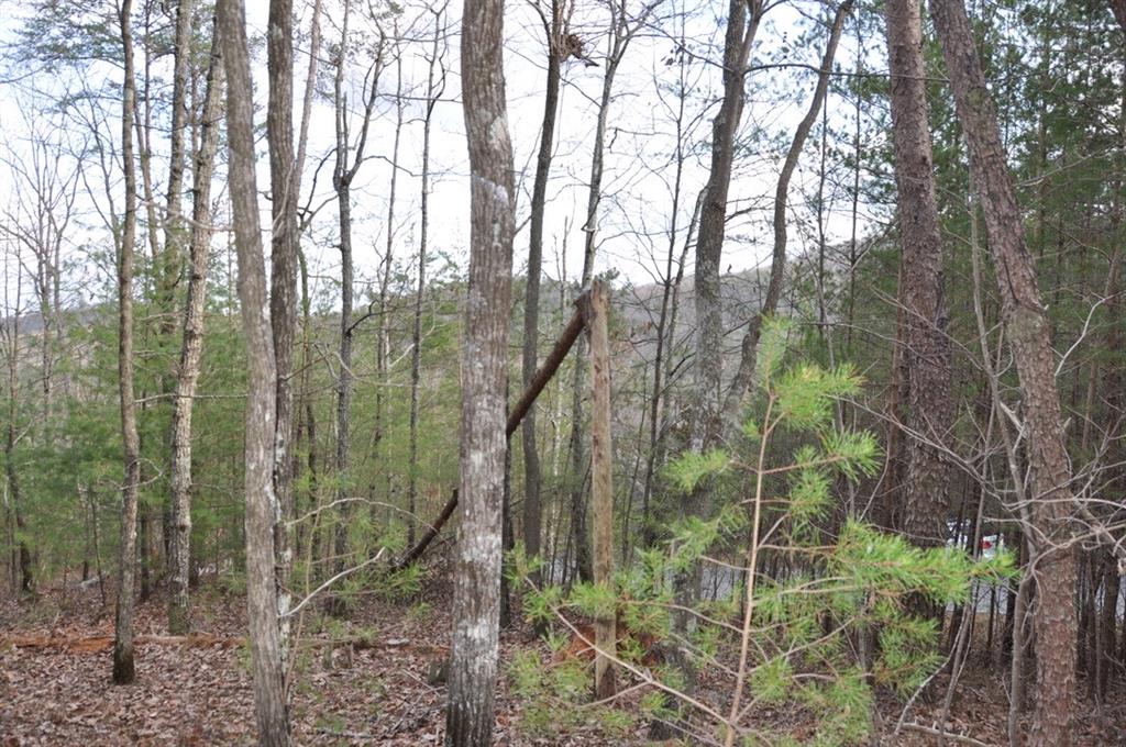 663 Black Bear Trail