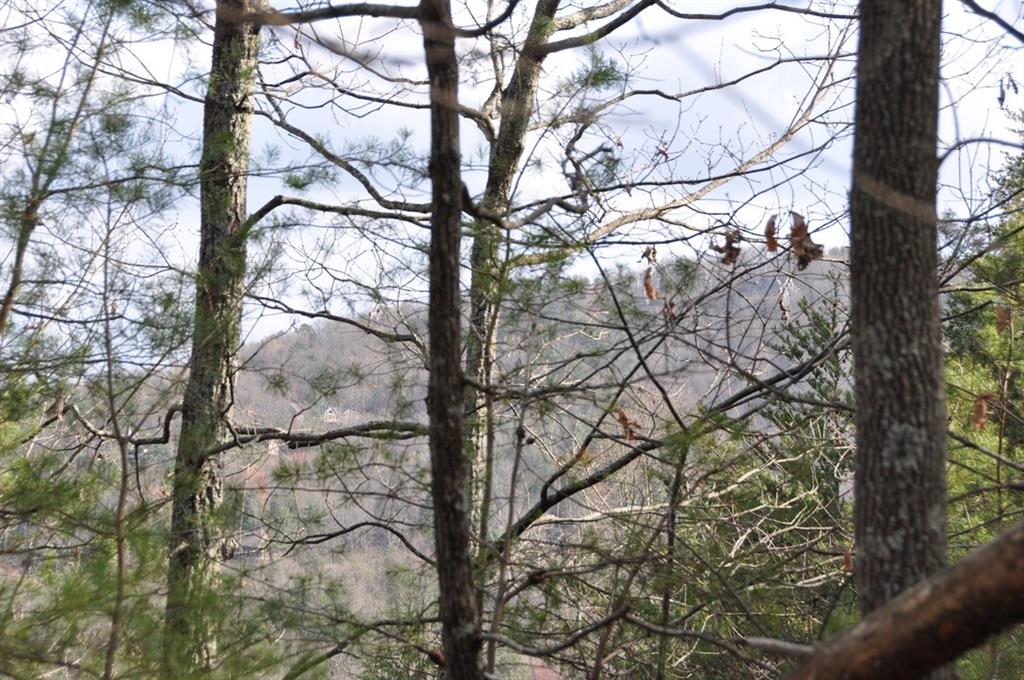 663 Black Bear Trail
