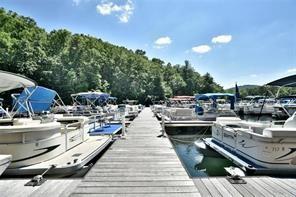 8271 Cox Mountain Lane