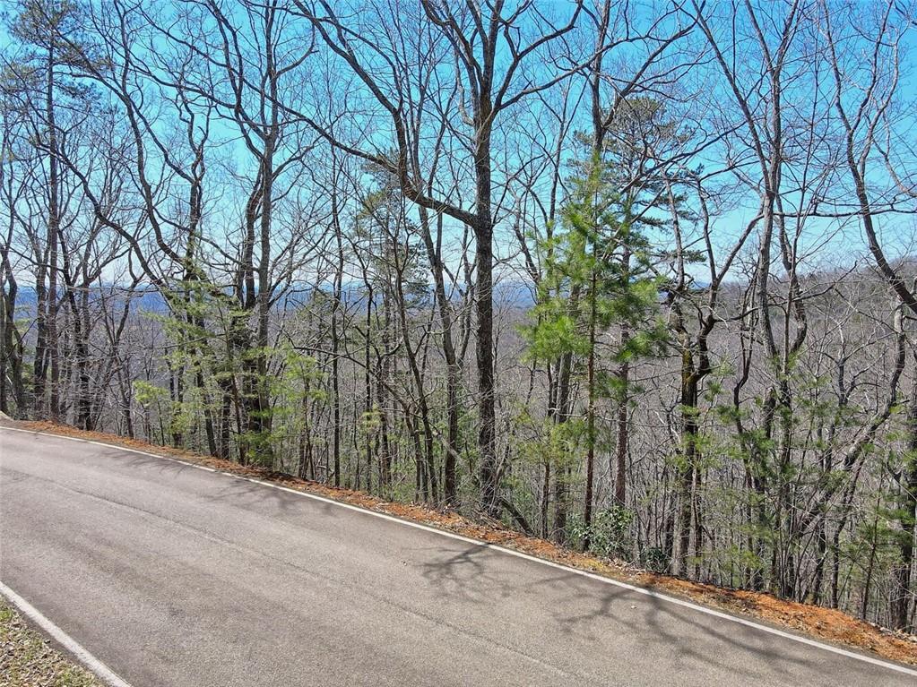 8271 Cox Mountain Lane
