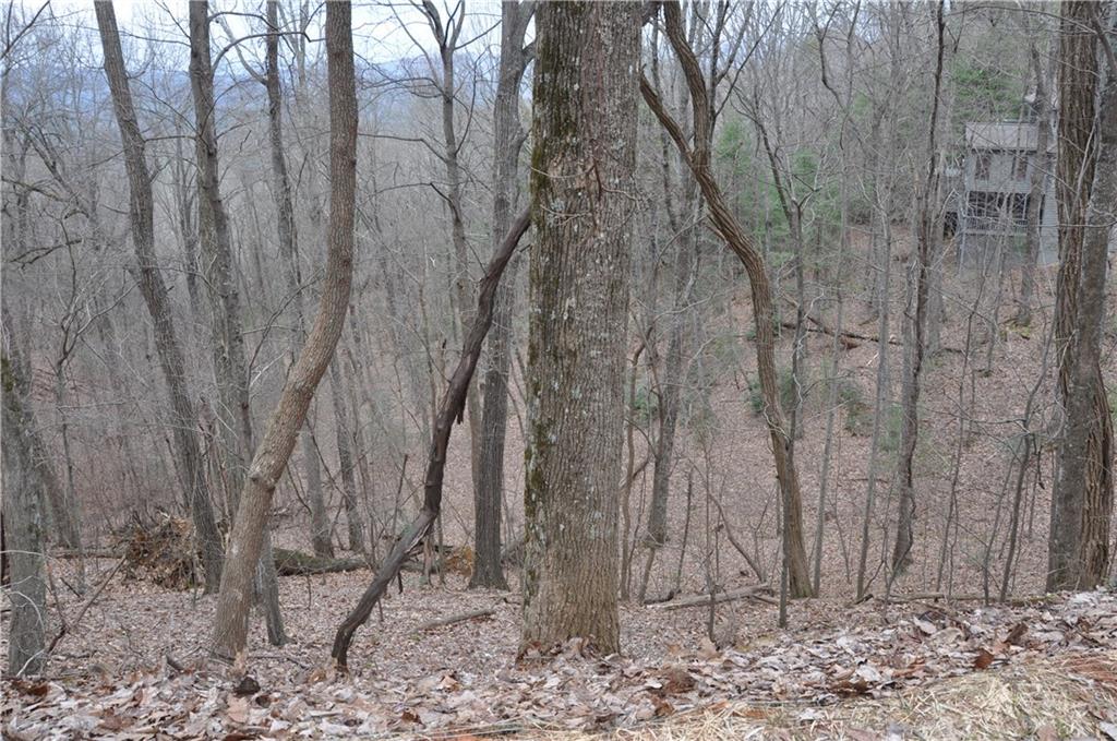 3012 Wild Turkey Bluff