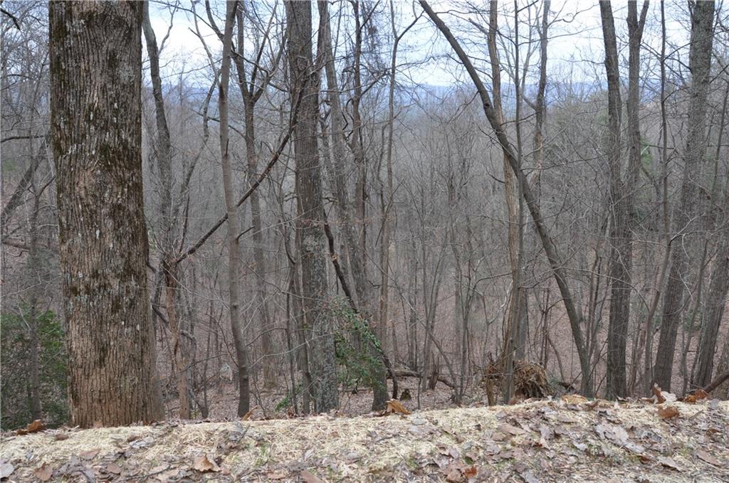 3012 Wild Turkey Bluff