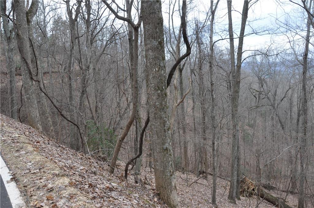 3012 Wild Turkey Bluff
