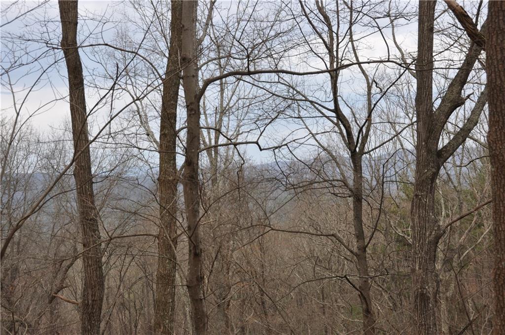 3012 Wild Turkey Bluff
