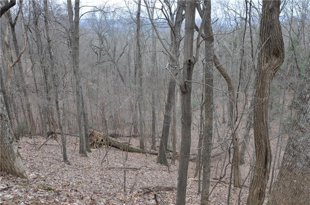 3012 Wild Turkey Bluff