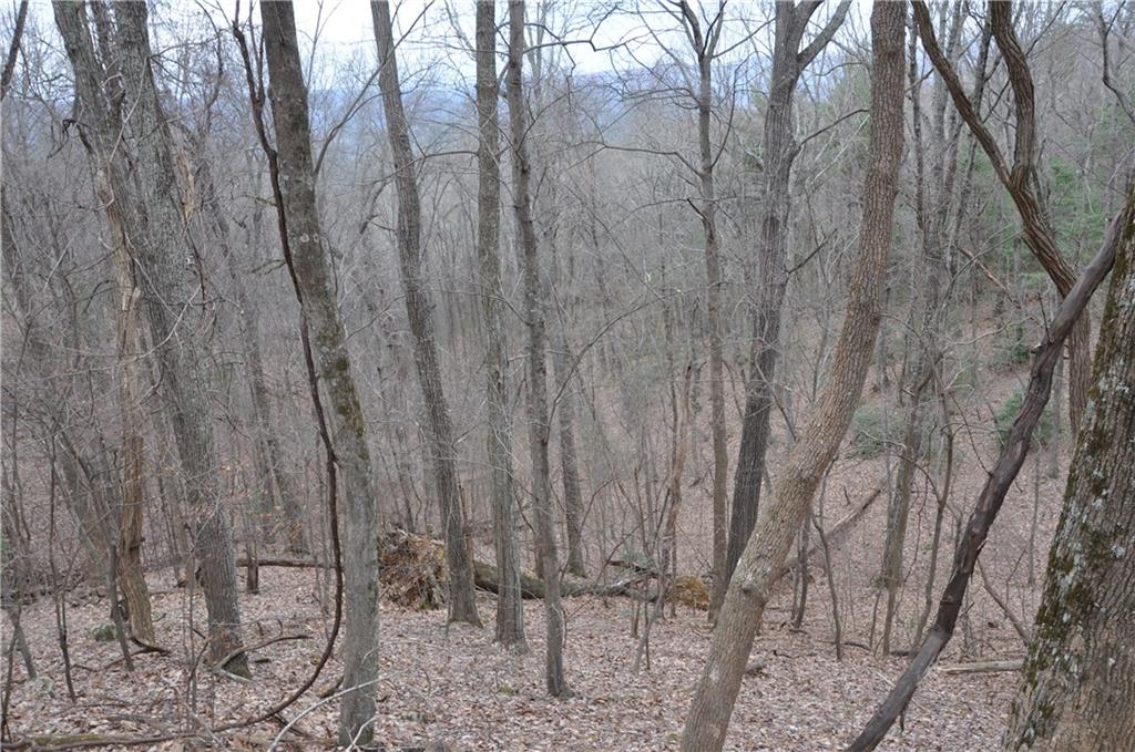 3012 Wild Turkey Bluff