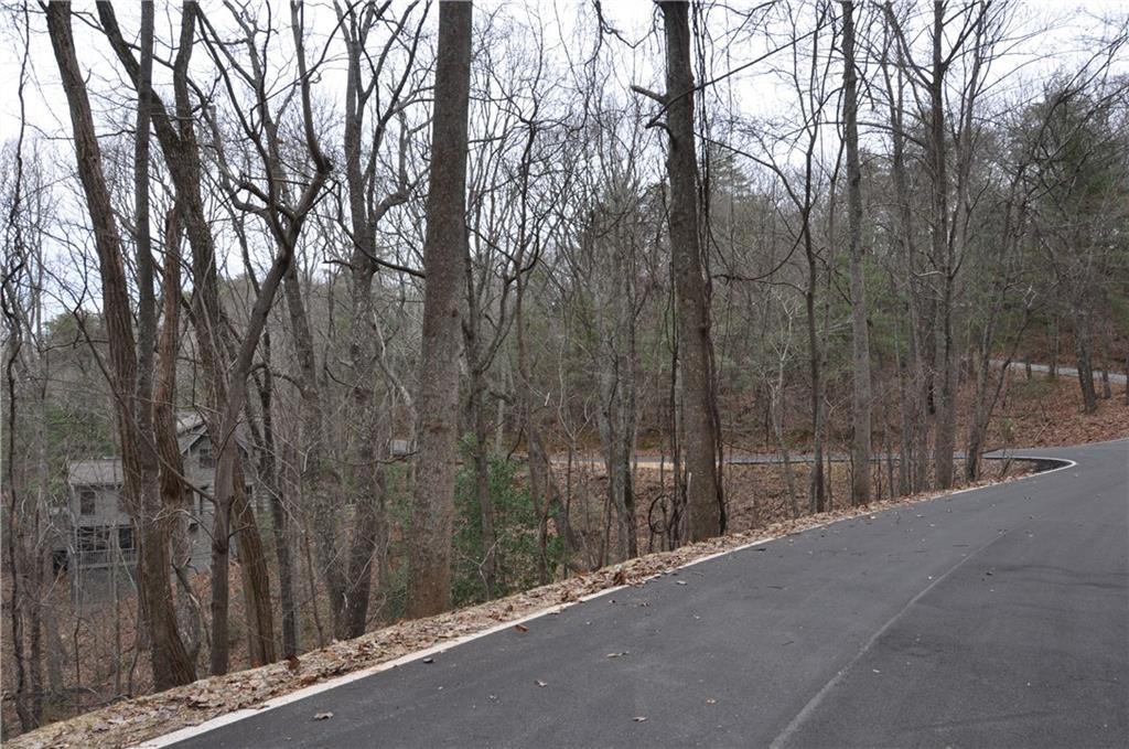 3012 Wild Turkey Bluff