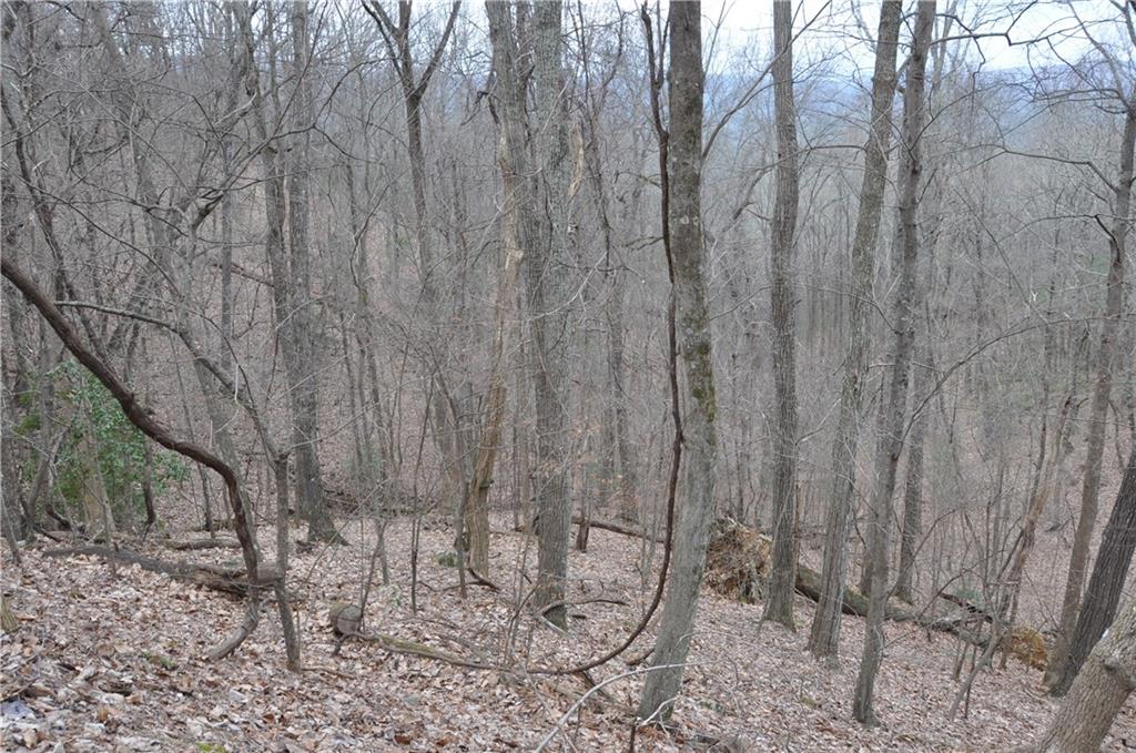 3012 Wild Turkey Bluff