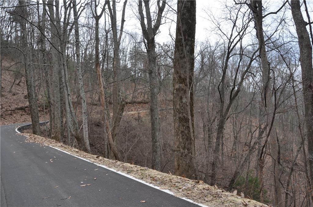 3012 Wild Turkey Bluff