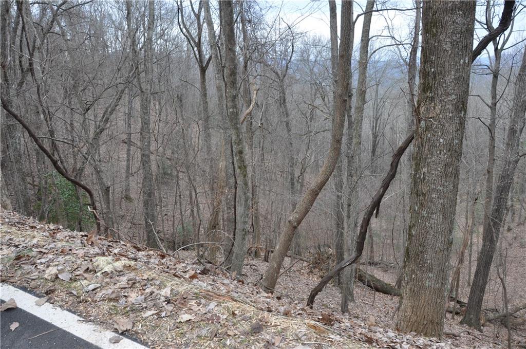 3012 Wild Turkey Bluff