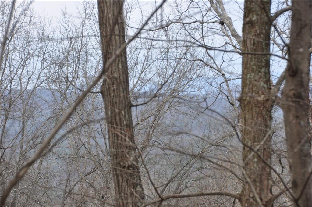 3012 Wild Turkey Bluff