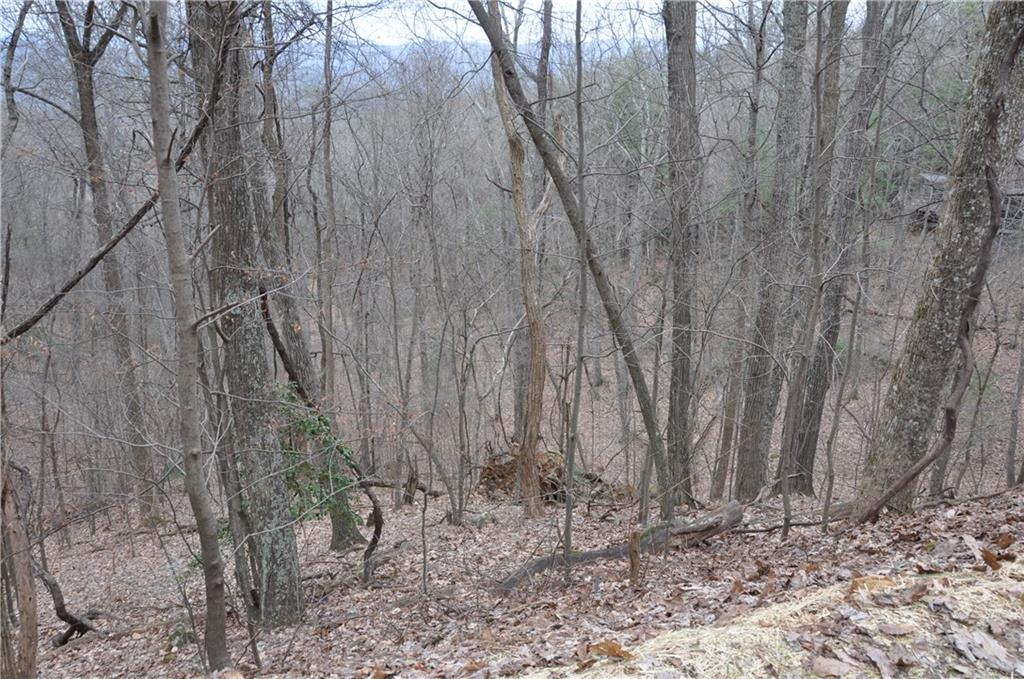 3012 Wild Turkey Bluff