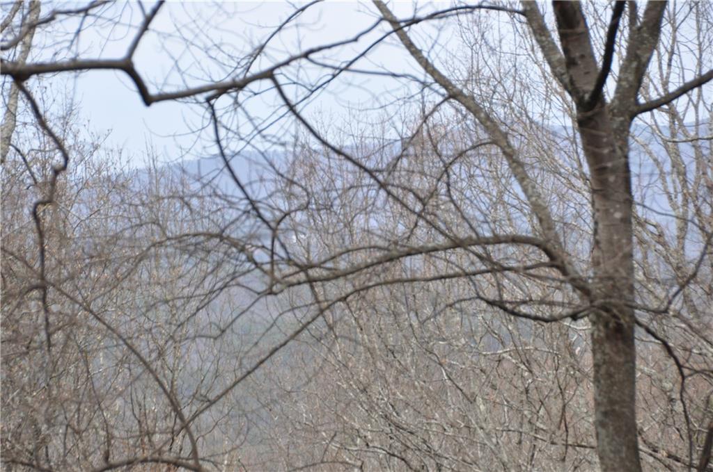 3012 Wild Turkey Bluff