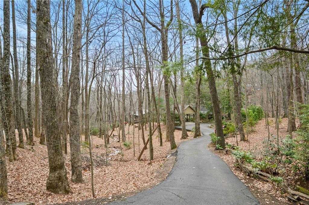 93 Windflower Drive