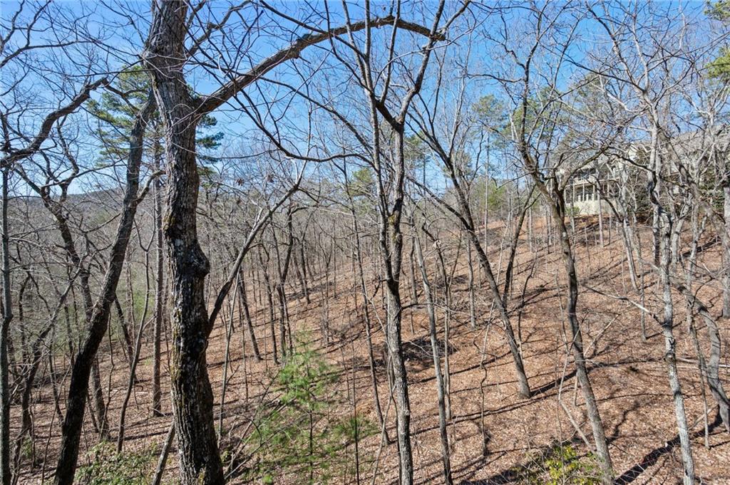 198 Wood Poppy Drive