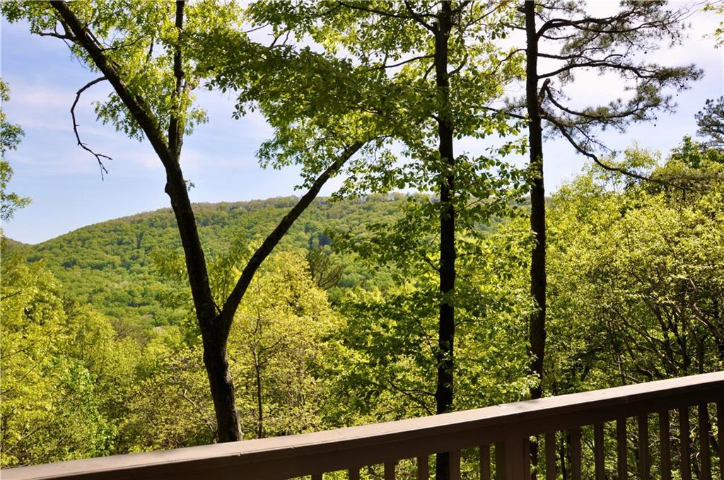 167 Mountain Mint Drive