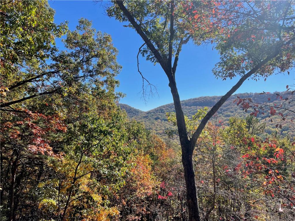 167 Mountain Mint Drive
