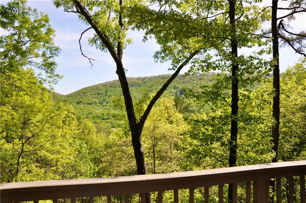 167 Mountain Mint Drive