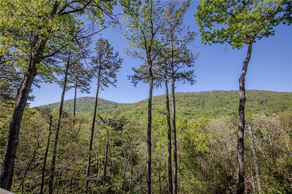 447 Teaberry Lane