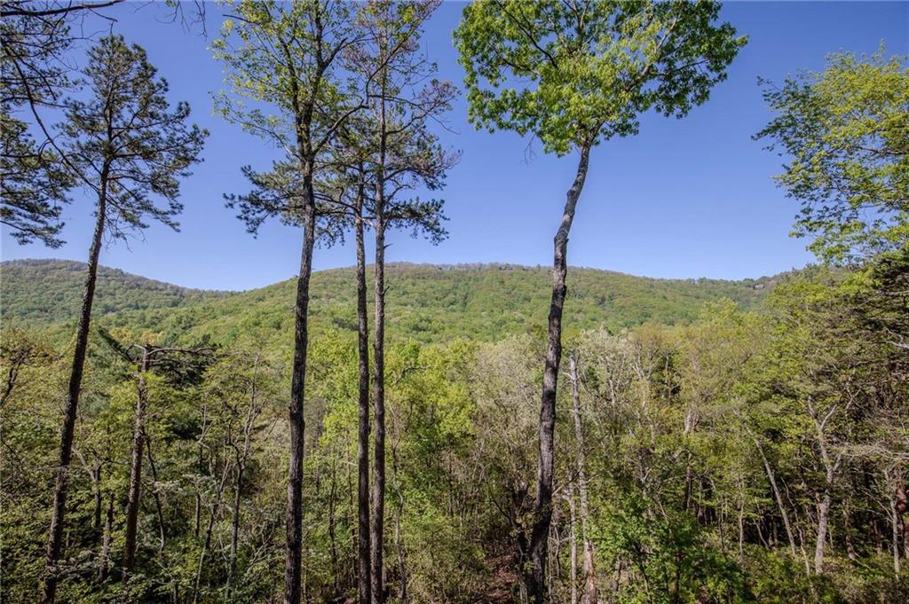 447 Teaberry Lane