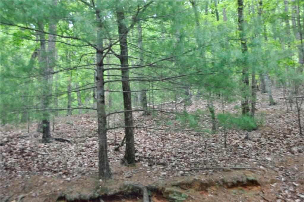 2618 Highland Trail