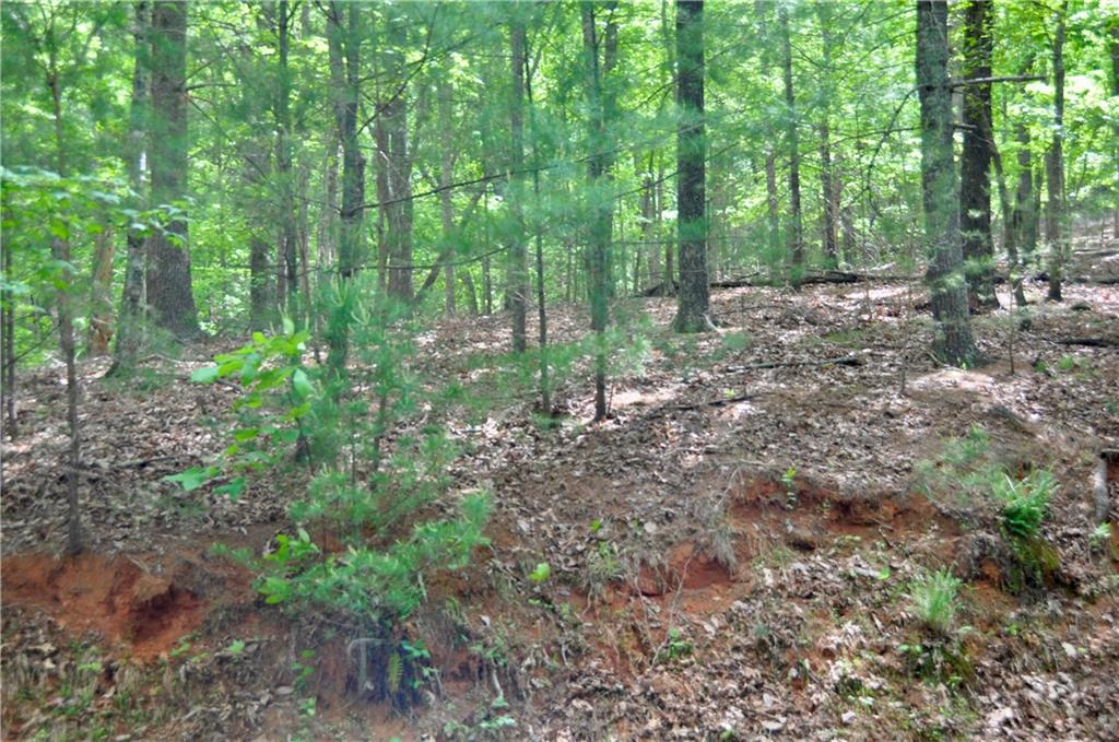 2618 Highland Trail