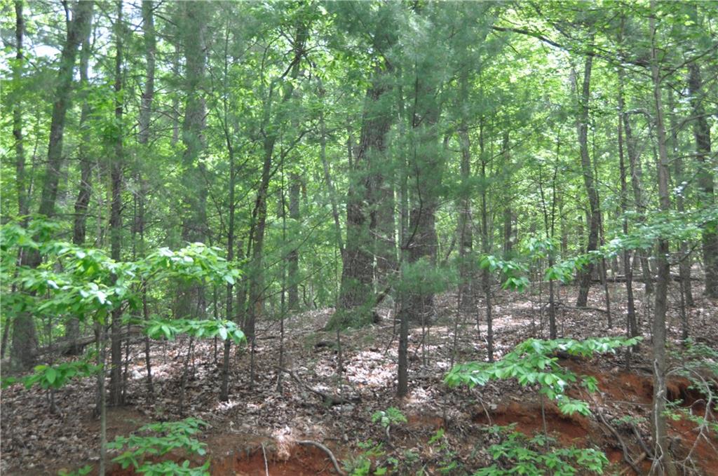 2618 Highland Trail