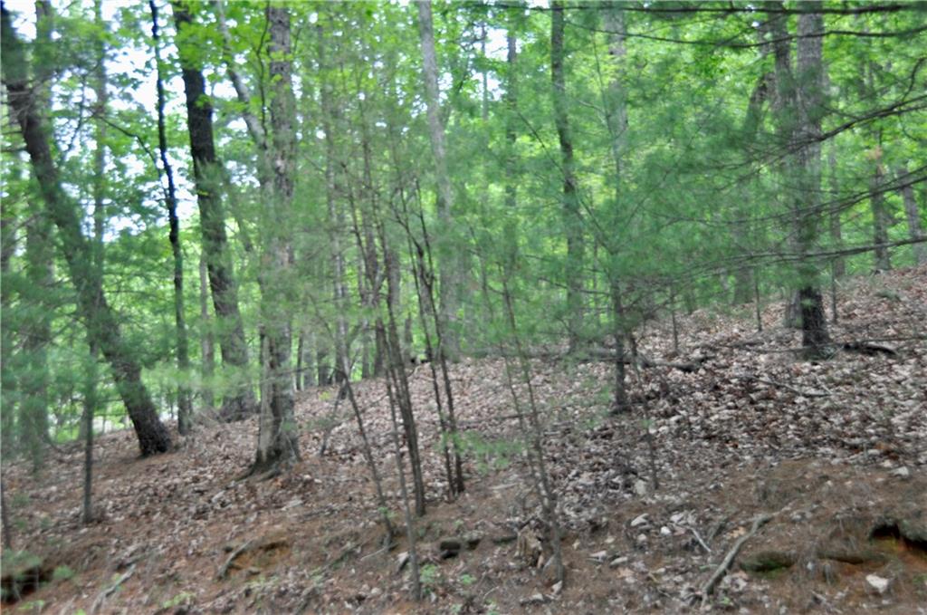 2618 Highland Trail