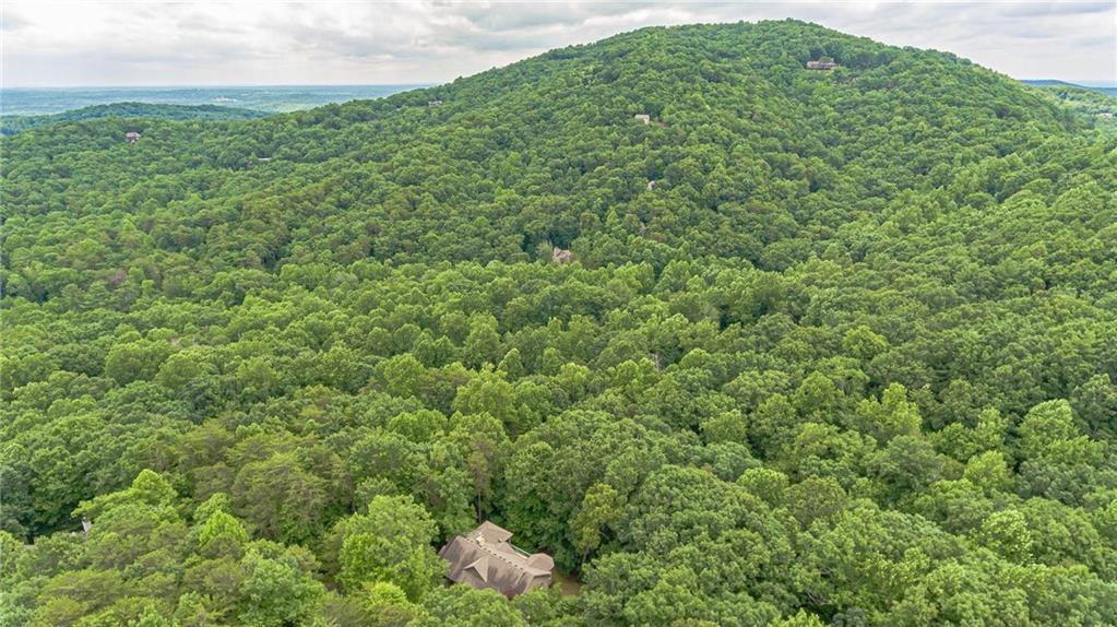 185 Crested Fern Lane