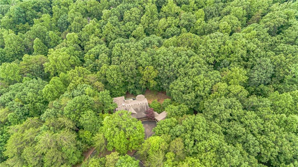 185 Crested Fern Lane