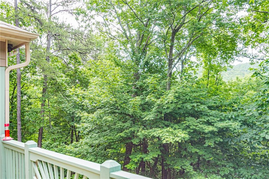 185 Crested Fern Lane