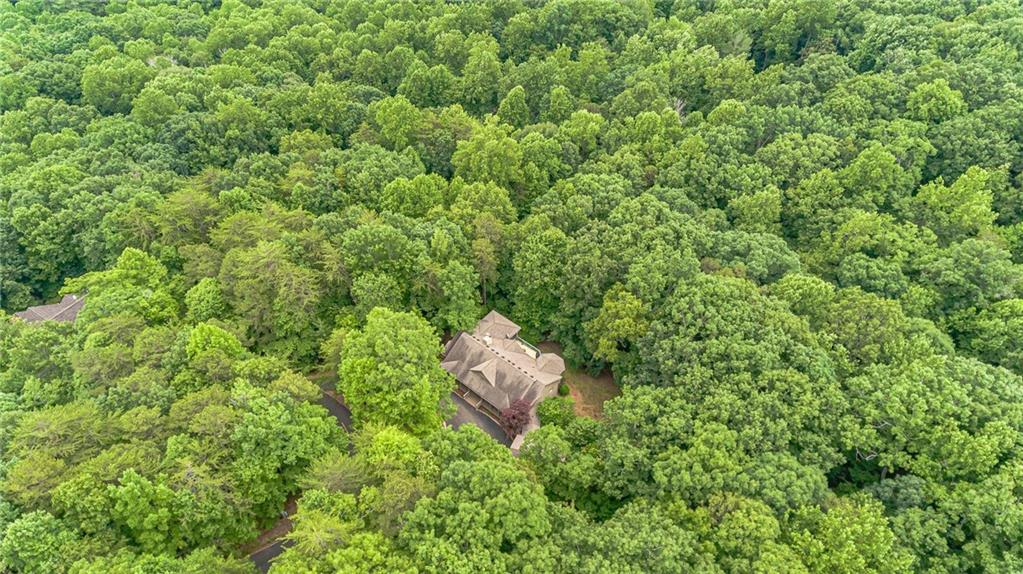 185 Crested Fern Lane