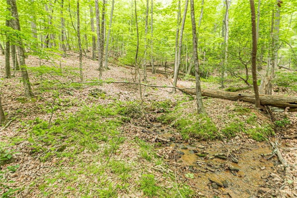 185 Crested Fern Lane