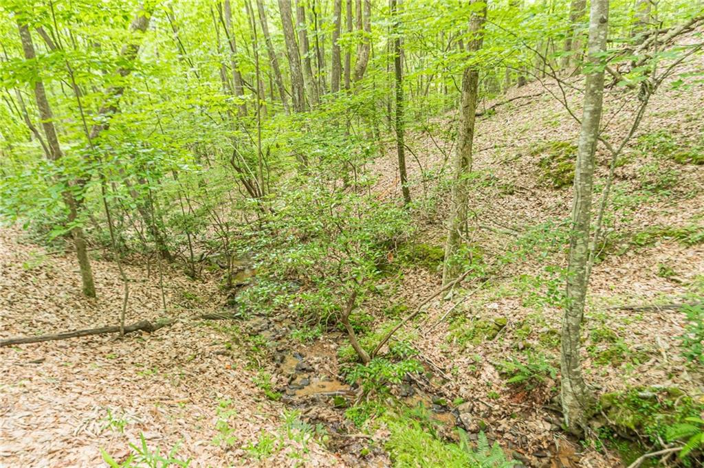 185 Crested Fern Lane