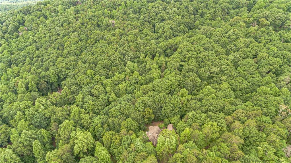 185 Crested Fern Lane