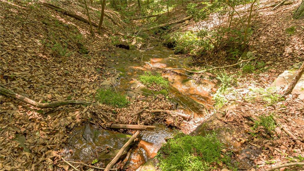 185 Crested Fern Lane