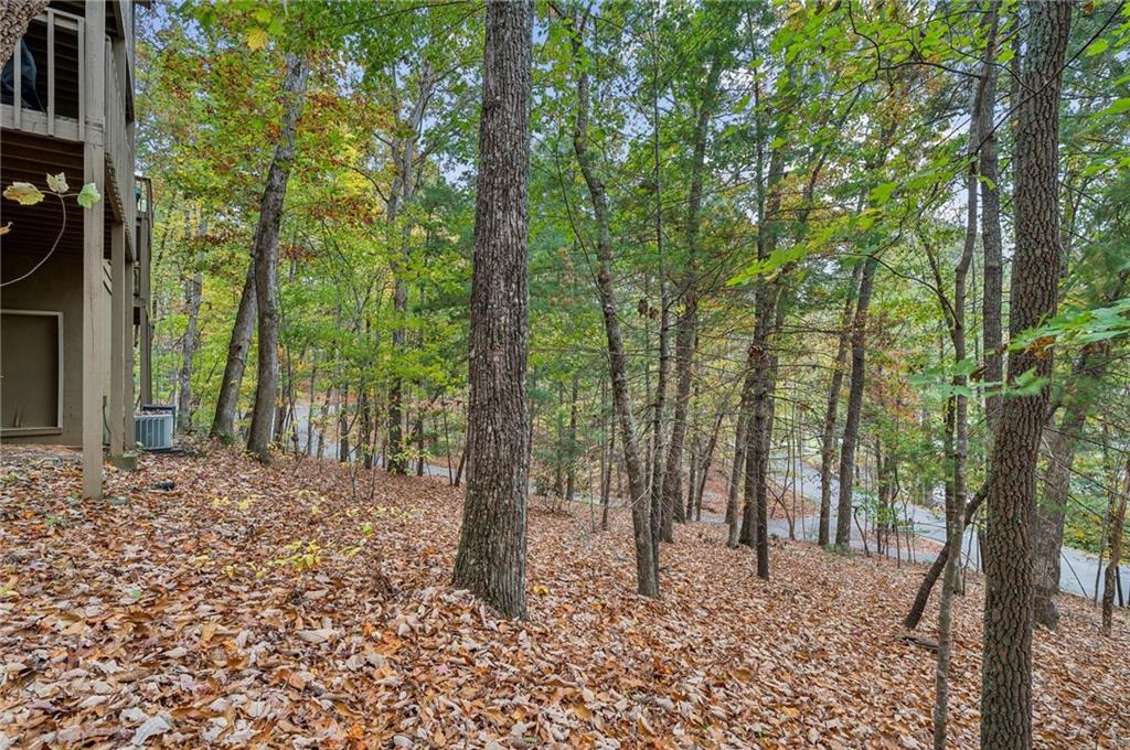 145 Chestnut Rise Trail Unit 442D