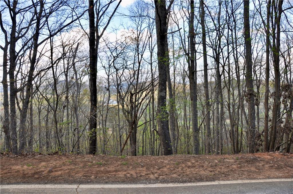 8259 Cox Mountain Drive