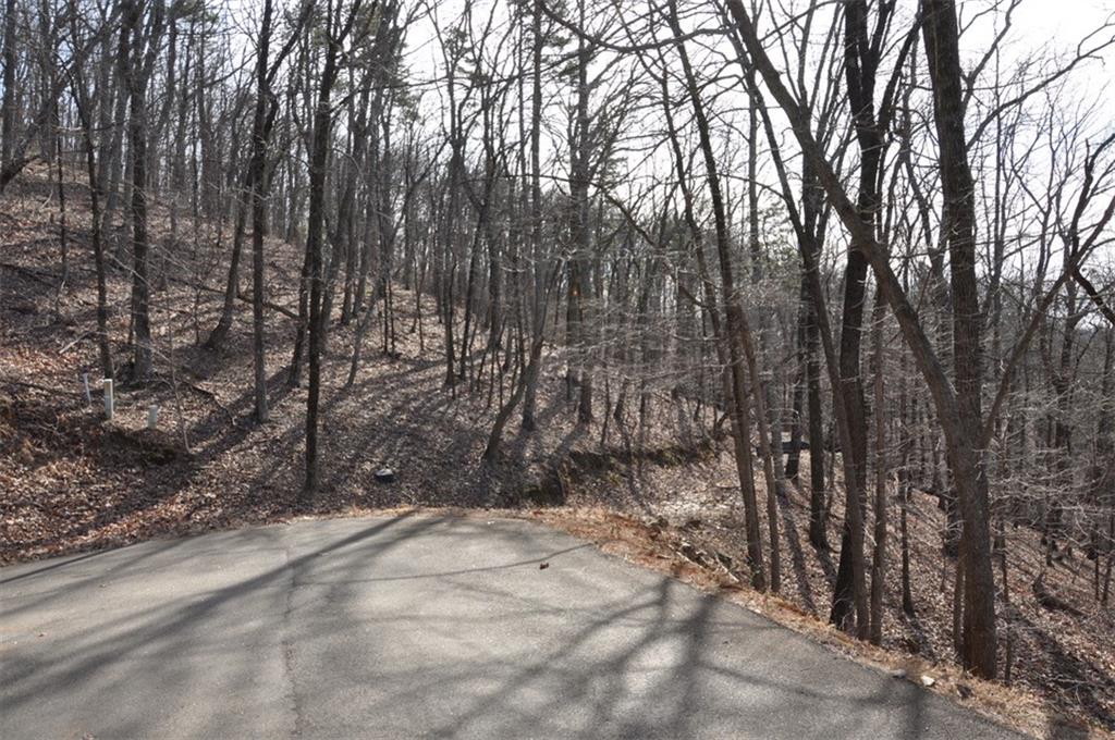 8269 Cox Mountain Lane
