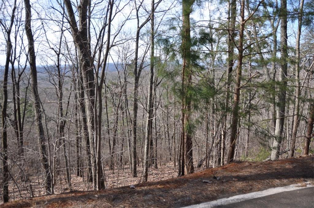 8269 Cox Mountain Lane